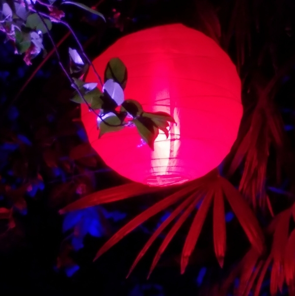 Meet your Posher, Margo - Picture 1 of 1